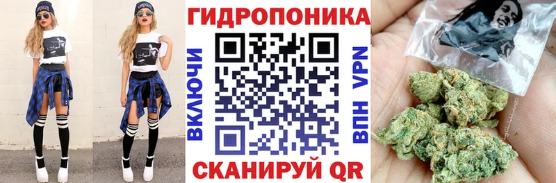 где продают   нарко площадка клад  omg tor  Марихуана White Widow  Вяземский 